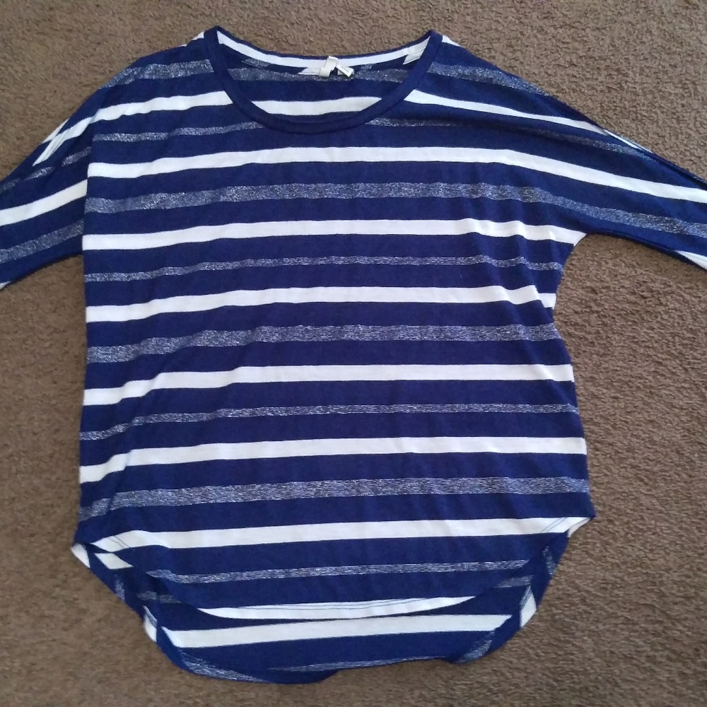 Blue And Silver Striped Blouse